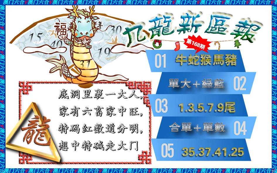 九龙新区报